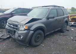 2011 FORD ESCAPE XLT