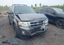 2011 FORD ESCAPE XLT