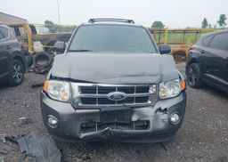 2011 FORD ESCAPE XLT