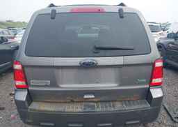 2011 FORD ESCAPE XLT