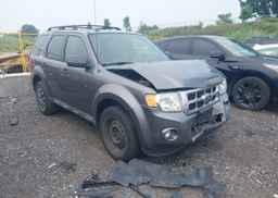 2011 FORD ESCAPE XLT