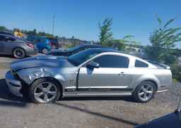 2009 FORD MUSTANG GT