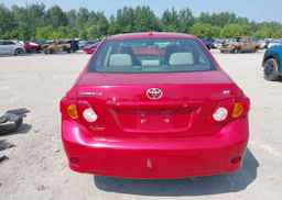 2010 TOYOTA COROLLA