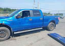 2012 FORD F-150 XLT