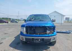 2012 FORD F-150 XLT