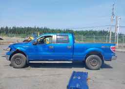 2012 FORD F-150 XLT