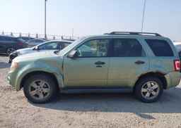 2008 FORD ESCAPE XLT