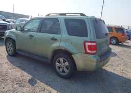 2008 FORD ESCAPE XLT