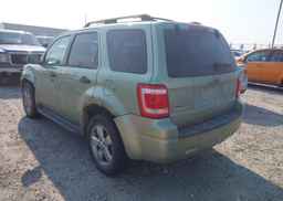 2008 FORD ESCAPE XLT