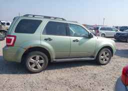 2008 FORD ESCAPE XLT
