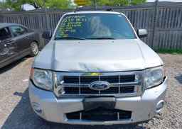 2012 FORD ESCAPE XLT