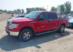 2012 FORD F-150