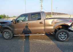 2014 FORD F150 SUPERCREW