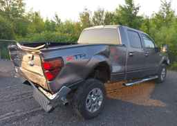 2014 FORD F150 SUPERCREW