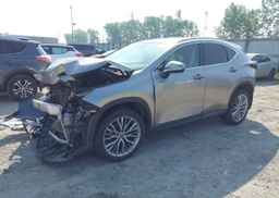 2023 LEXUS NX 350