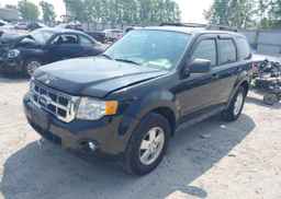 2012 FORD ESCAPE XLT