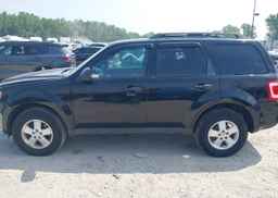 2012 FORD ESCAPE XLT