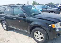 2012 FORD ESCAPE XLT