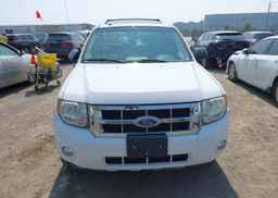 2008 FORD ESCAPE XLT
