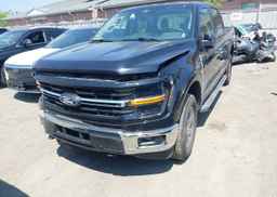 2024 FORD F150 XLT
