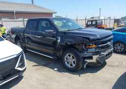 2024 FORD F150 XLT