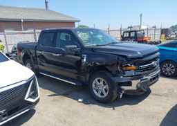 2024 FORD F150 XLT