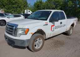 2010 FORD F-150