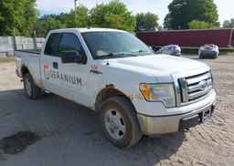 2010 FORD F-150