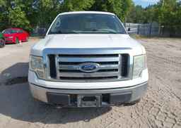 2010 FORD F-150