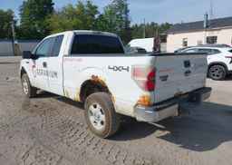 2010 FORD F-150