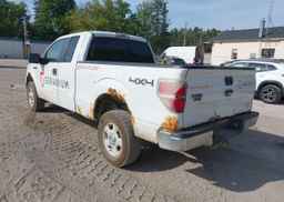 2010 FORD F-150