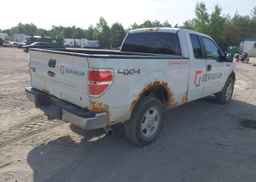 2010 FORD F-150