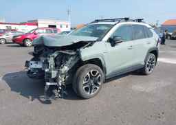 2019 TOYOTA RAV4 ADVENTURE