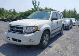 2011 FORD ESCAPE XLT