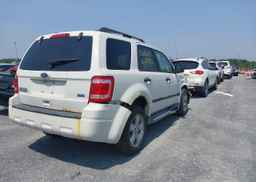 2011 FORD ESCAPE XLT
