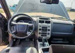 2010 FORD ESCAPE XLT