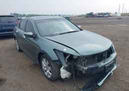 2008 HONDA ACCORD EX-L V6