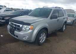 2009 FORD ESCAPE XLT