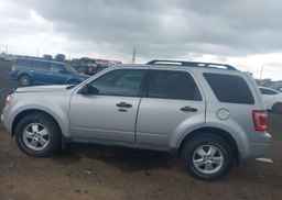 2009 FORD ESCAPE XLT