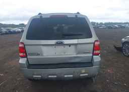 2009 FORD ESCAPE XLT