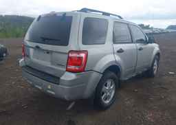 2009 FORD ESCAPE XLT