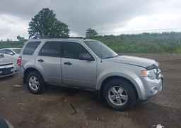 2009 FORD ESCAPE XLT