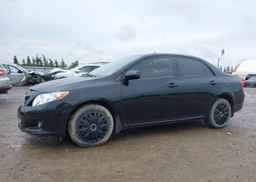 2009 TOYOTA COROLLA LE