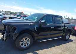 2024 FORD F150 XLT