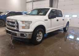 2017 FORD F-150 XLT