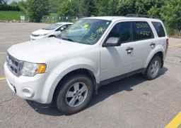 2011 FORD ESCAPE XLT