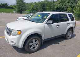 2011 FORD ESCAPE XLT
