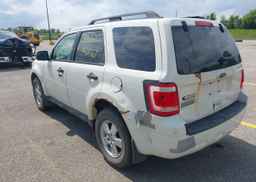 2011 FORD ESCAPE XLT
