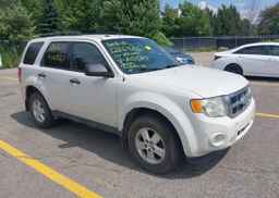 2011 FORD ESCAPE XLT