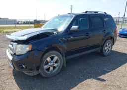 2011 FORD ESCAPE LIMITED